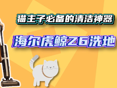 天极新闻频道 坐看渠道风云变迁，打造科技行业权威资讯枢纽